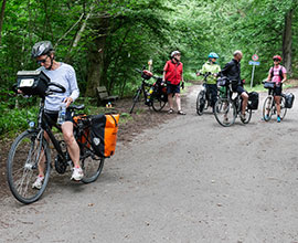 Fietstrektocht door de oostelijke Vulkaaneifel