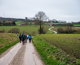 Van oud naar nieuw in het Franse Heuvelland (F)