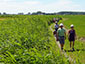 Slappe fietstocht Diksmuide, polders en moeren