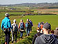 Midweekstappen Kemmel