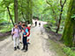 Dagstaptocht Kortenberg - Groenendaal