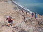 Dagstaptochten vulkanen en stranden op Lanzarote (E)