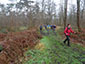 Midweekstappen Eeklo en Lembeekse Bossen