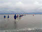 Dagstaptochten Wadlopen - Overtocht naar Ameland (NL)