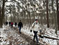 Dagstaptocht spirituele wandeling in Westmalle